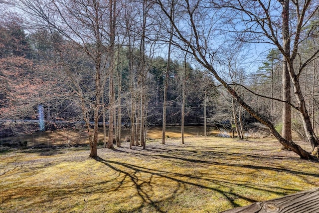 view of yard featuring a view of trees