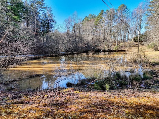 property view of water featuring a view of trees