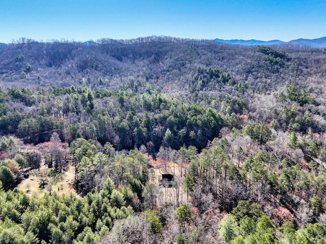 bird's eye view featuring a mountain view and a view of trees