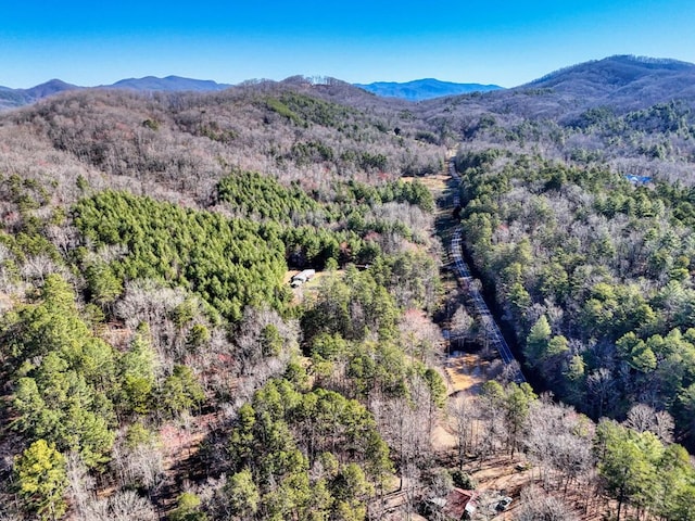 view of mountain feature featuring a view of trees