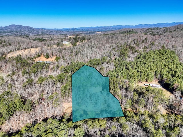 aerial view featuring a forest view and a mountain view