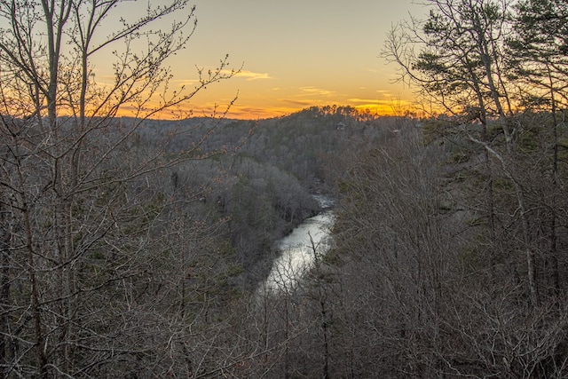 view of mountain background featuring a forest