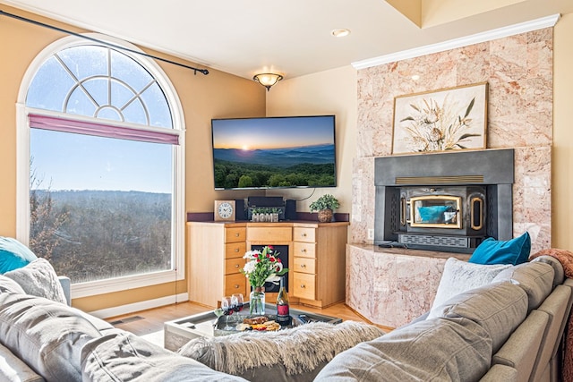living area featuring wood finished floors and a fireplace