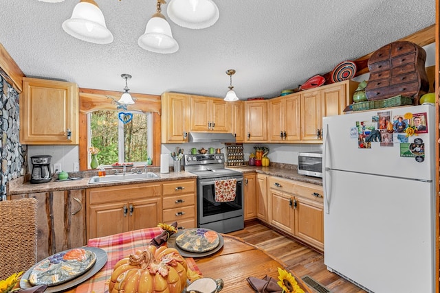 kitchen featuring freestanding refrigerator, under cabinet range hood, light wood-type flooring, stainless steel range with electric stovetop, and a sink