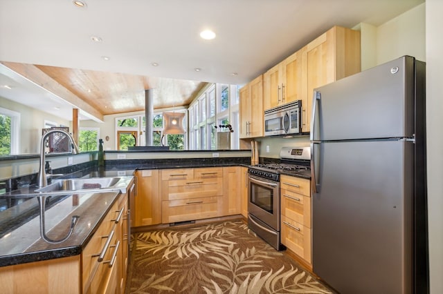 kitchen featuring plenty of natural light, kitchen peninsula, sink, and appliances with stainless steel finishes