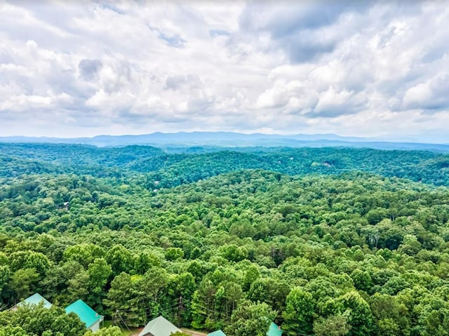 birds eye view of property featuring a forest view