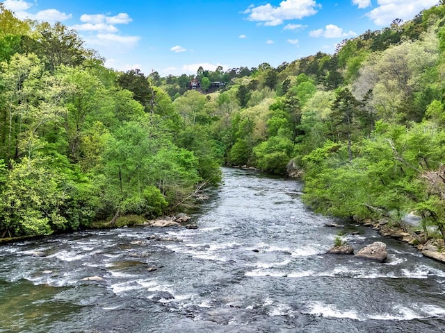 water view featuring a view of trees