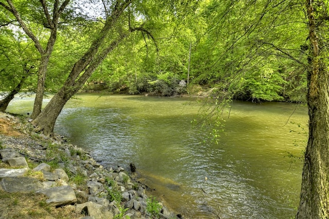 water view with a forest view