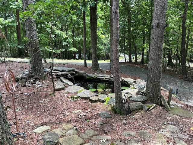 29 River Ranch Rd, Ellijay, GA 30540 - view of yard