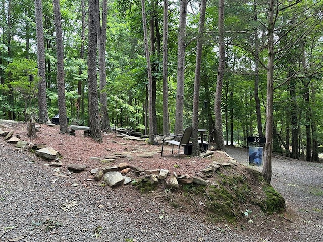 29 River Ranch Rd, Ellijay, GA 30540 - view of woods