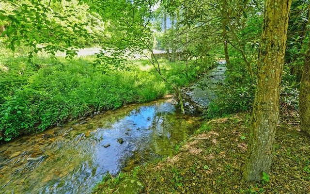 469 Hidden Valley Dr, Morganton, GA 30560 - water view