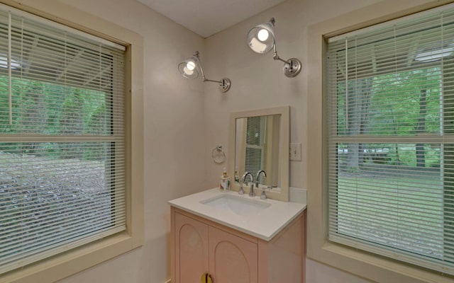 469 Hidden Valley Dr, Morganton, GA 30560 - bathroom featuring vanity and plenty of natural light