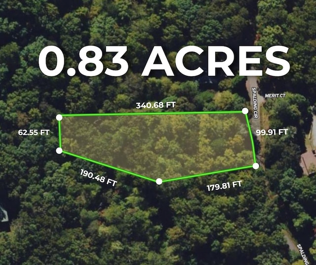 1194 Spalding Cir, Ellijay GA, 30540 land for sale