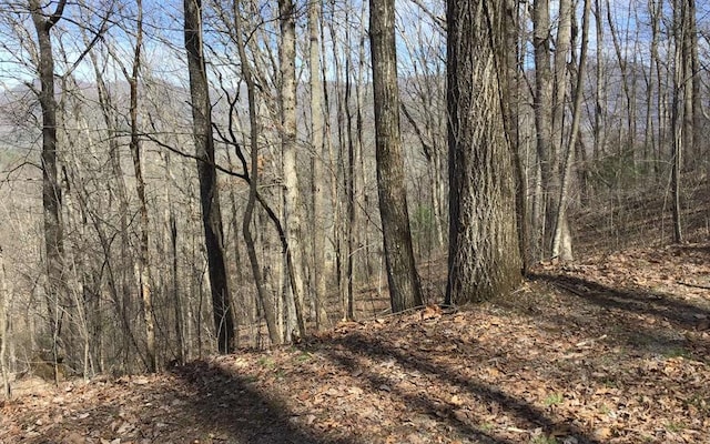 61 Shiloh, Hayesville NC, 28904 land for sale