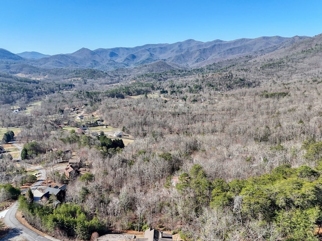 property view of mountains