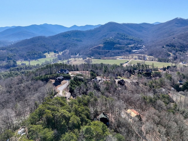 exterior space featuring a mountain view