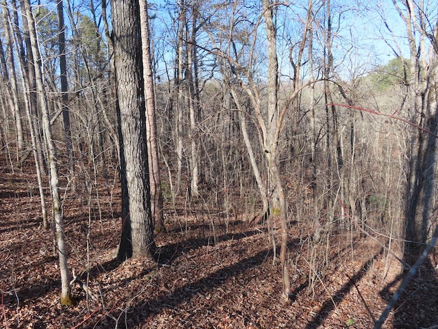 LT1906 Finale St, Talking Rock GA, 30175 land for sale