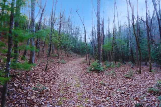 Listing photo 3 for LOT23 Shelton Springs Dr, Hayesville NC 28904