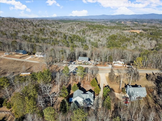 bird's eye view featuring a mountain view