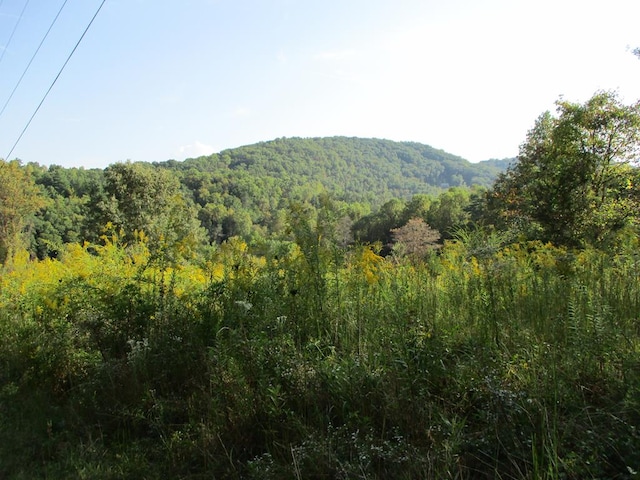 TRACT3A Qualla Rd, Hayesville NC, 28904 land for sale