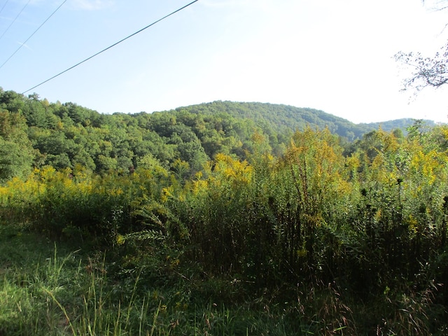 Listing photo 2 for TRACT3A Qualla Rd, Hayesville NC 28904