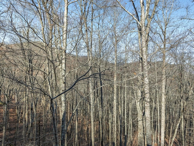 view of local wilderness