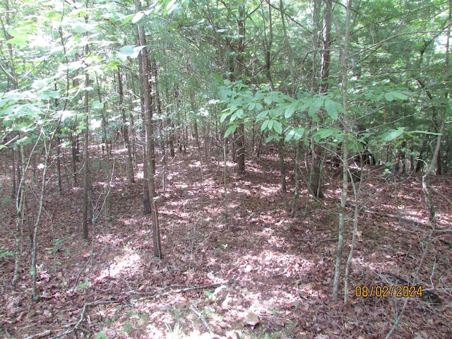 Listing photo 3 for 0 Carter Cove Rd, Hayesville NC 28904