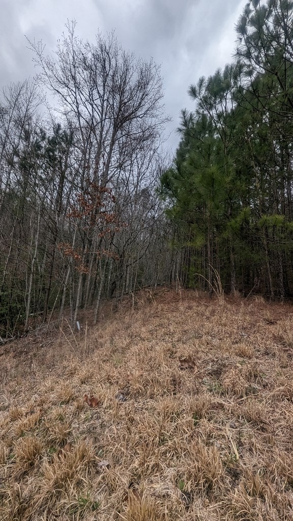 Listing photo 2 for LOT25 Trailwood Dr, Blairsville GA 30512