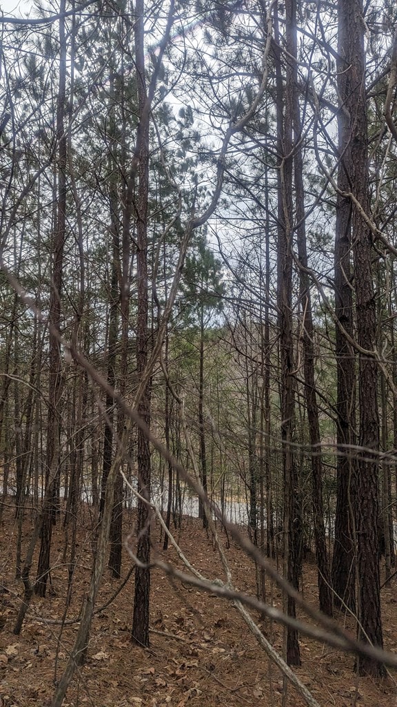 Listing photo 3 for LOT25 Trailwood Dr, Blairsville GA 30512