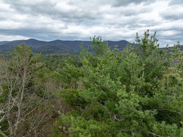 LOTA-D Harpers Creek Rd, Ellijay, GA 30540