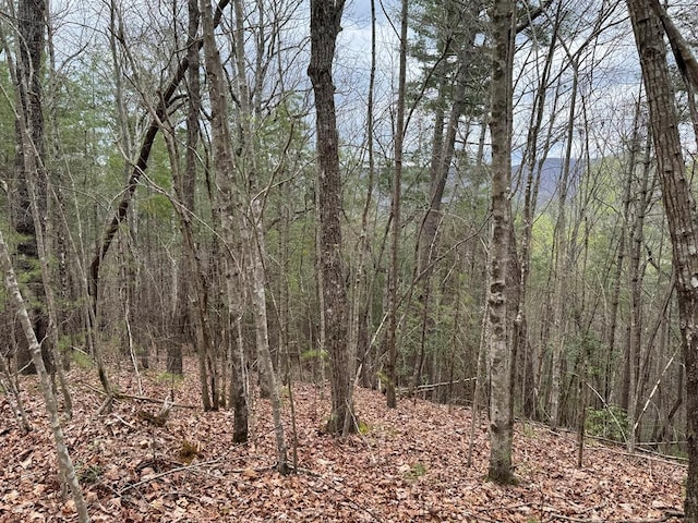 LOTA-D Harpers Creek Rd, Ellijay, GA 30540