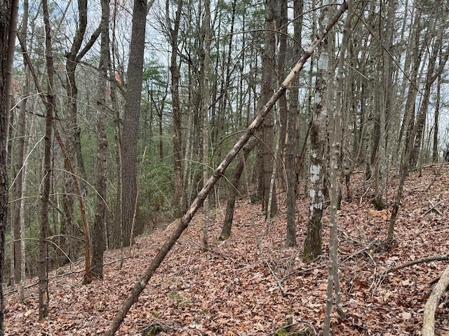 LOTA-D Harpers Creek Rd, Ellijay, GA 30540