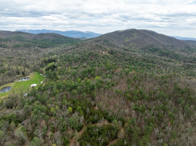 LOTA-D Harpers Creek Rd, Ellijay, GA 30540