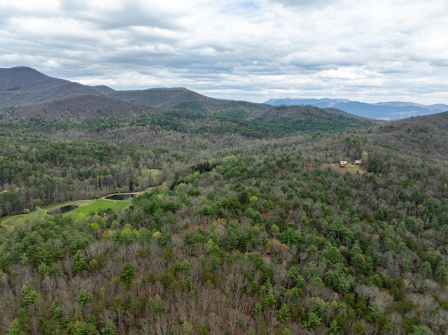 LOTA-D Harpers Creek Rd, Ellijay, GA 30540