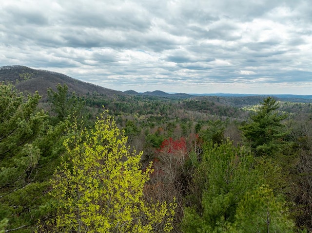 LOTA-D Harpers Creek Rd, Ellijay, GA 30540