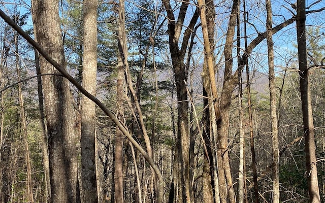 LOTA-D Harpers Creek Rd, Ellijay, GA 30540