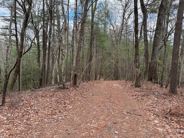 LOTA-D Harpers Creek Rd, Ellijay, GA 30540