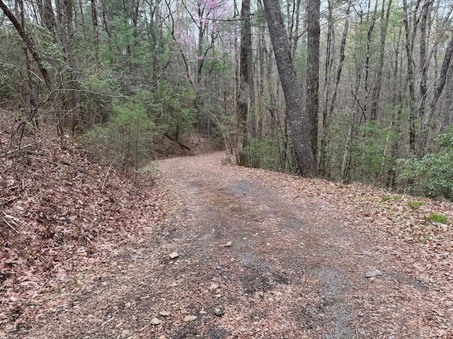 LOTA-D Harpers Creek Rd, Ellijay, GA 30540