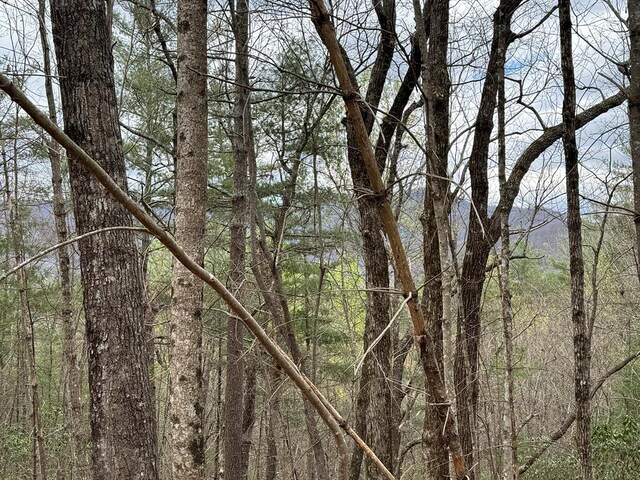 LOTA-D Harpers Creek Rd, Ellijay, GA 30540