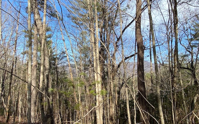 LOTA-D Harpers Creek Rd, Ellijay, GA 30540