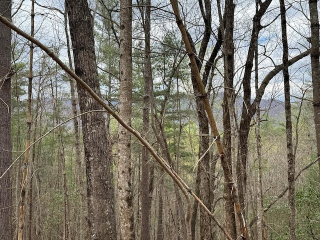 LOTA-D Harpers Creek Rd, Ellijay, GA 30540