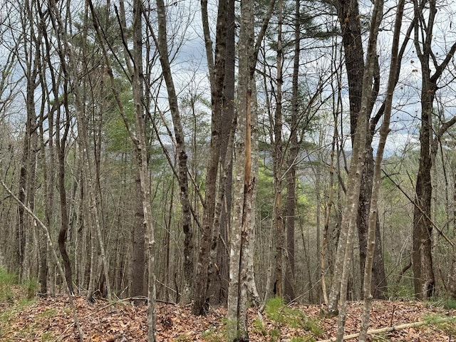 LOTA-D Harpers Creek Rd, Ellijay, GA 30540