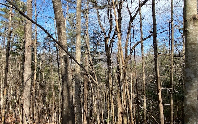 LOTA-D Harpers Creek Rd, Ellijay, GA 30540