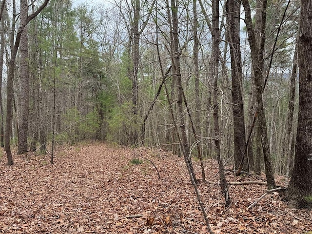 LOTA-D Harpers Creek Rd, Ellijay, GA 30540