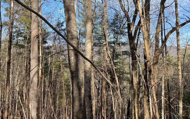 LOTA-D Harpers Creek Rd, Ellijay, GA 30540