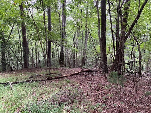 LOTA-D Harpers Creek Rd, Ellijay, GA 30540