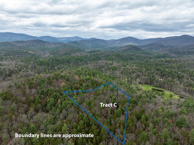LOTA-D Harpers Creek Rd, Ellijay, GA 30540