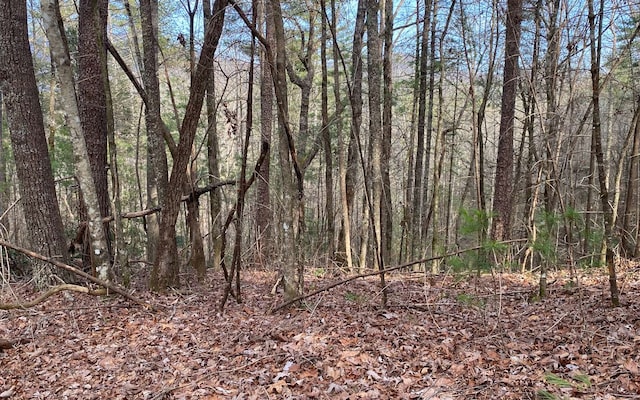 LOTA-D Harpers Creek Rd, Ellijay, GA 30540