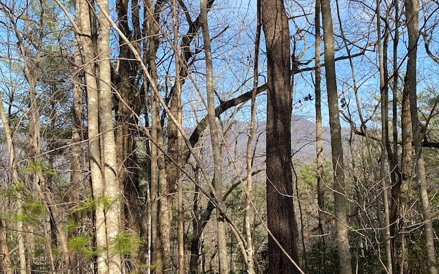 LOTA-D Harpers Creek Rd, Ellijay, GA 30540
