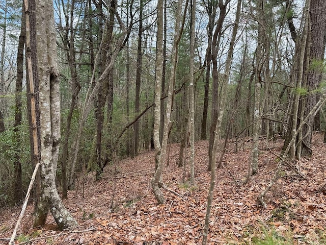 LOTA-D Harpers Creek Rd, Ellijay, GA 30540